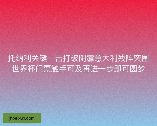托纳利关键一击打破阴霾意大利残阵突围世界杯门票触手可及再进一步即可圆梦