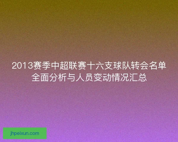 2013赛季中超联赛十六支球队转会名单全面分析与人员变动情况汇总
